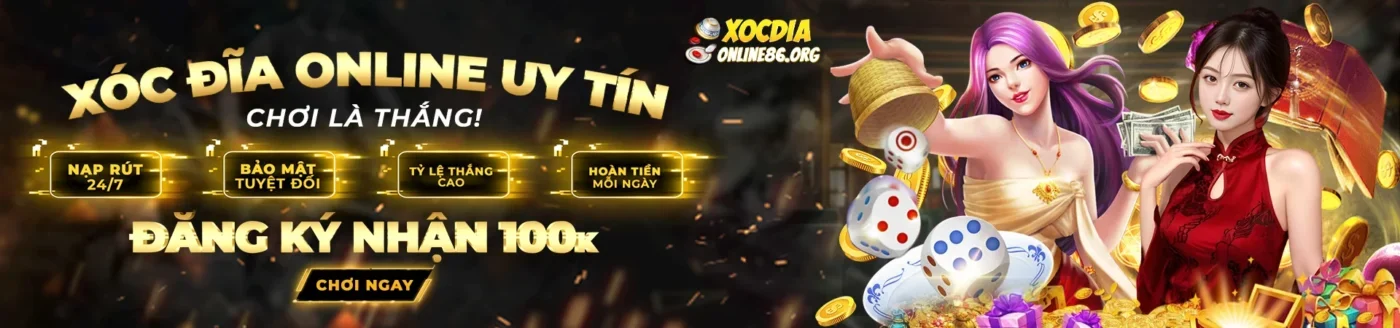 banner banner